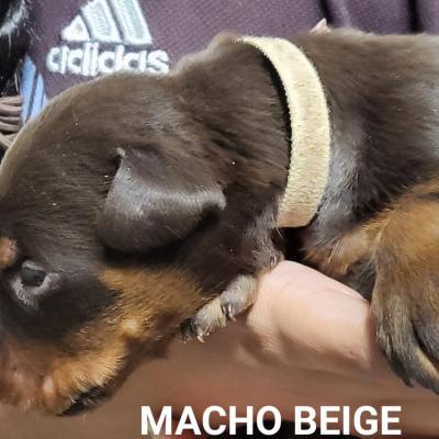 Img 20230702 Wa0009